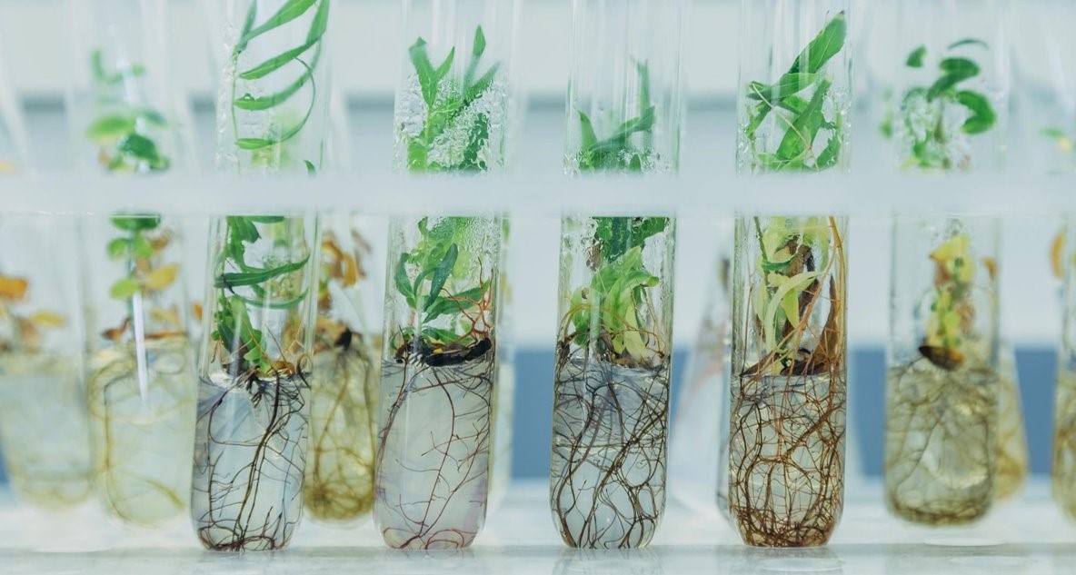 Biosolutions